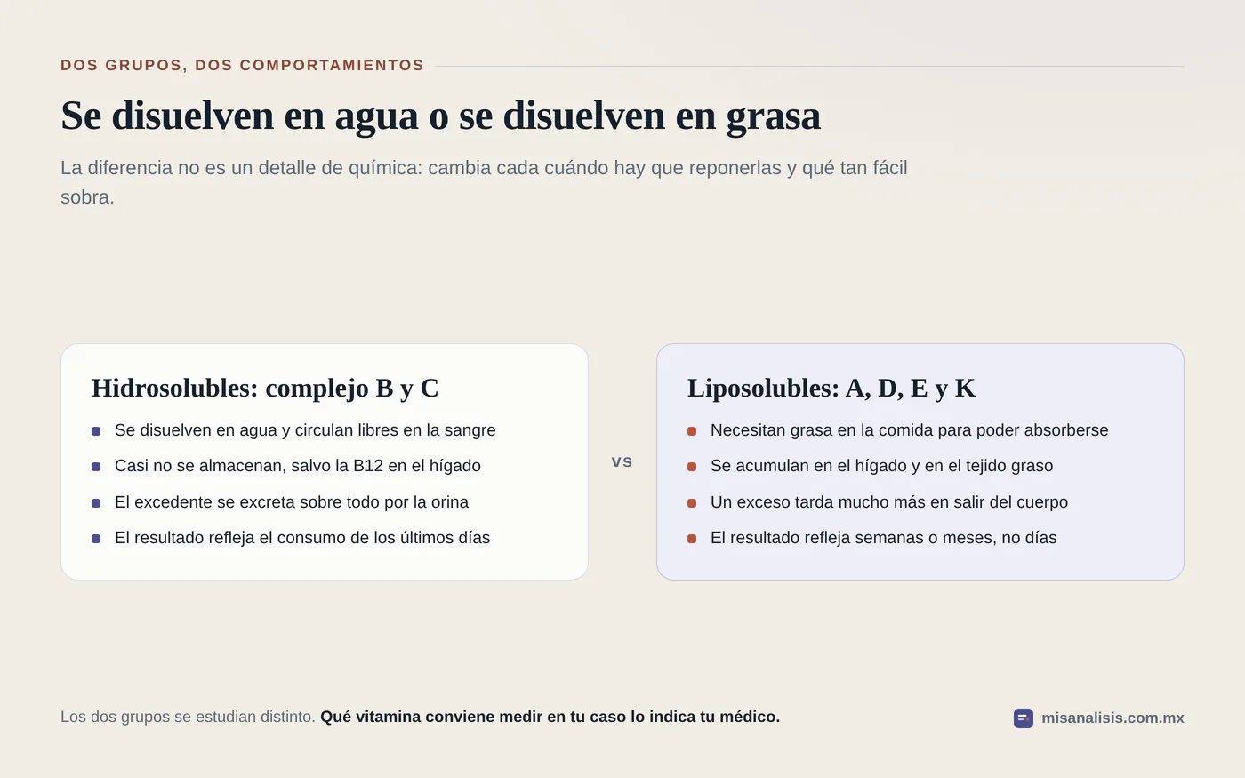 Comparación en dos columnas: las hidrosolubles del complejo B y la vitamina C casi no se almacenan, mientras las liposolubles A, D, E y K se acumulan en el hígado y en la grasa.