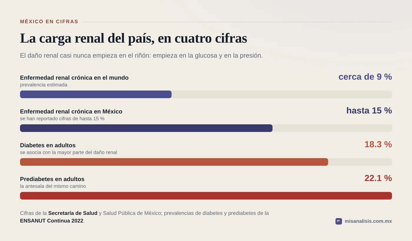 Gráfica de cuatro barras: enfermedad renal crónica cerca de 9 por ciento en el mundo y hasta 15 por ciento en México, diabetes en 18.3 por ciento y prediabetes en 22.1 por ciento de los adultos.