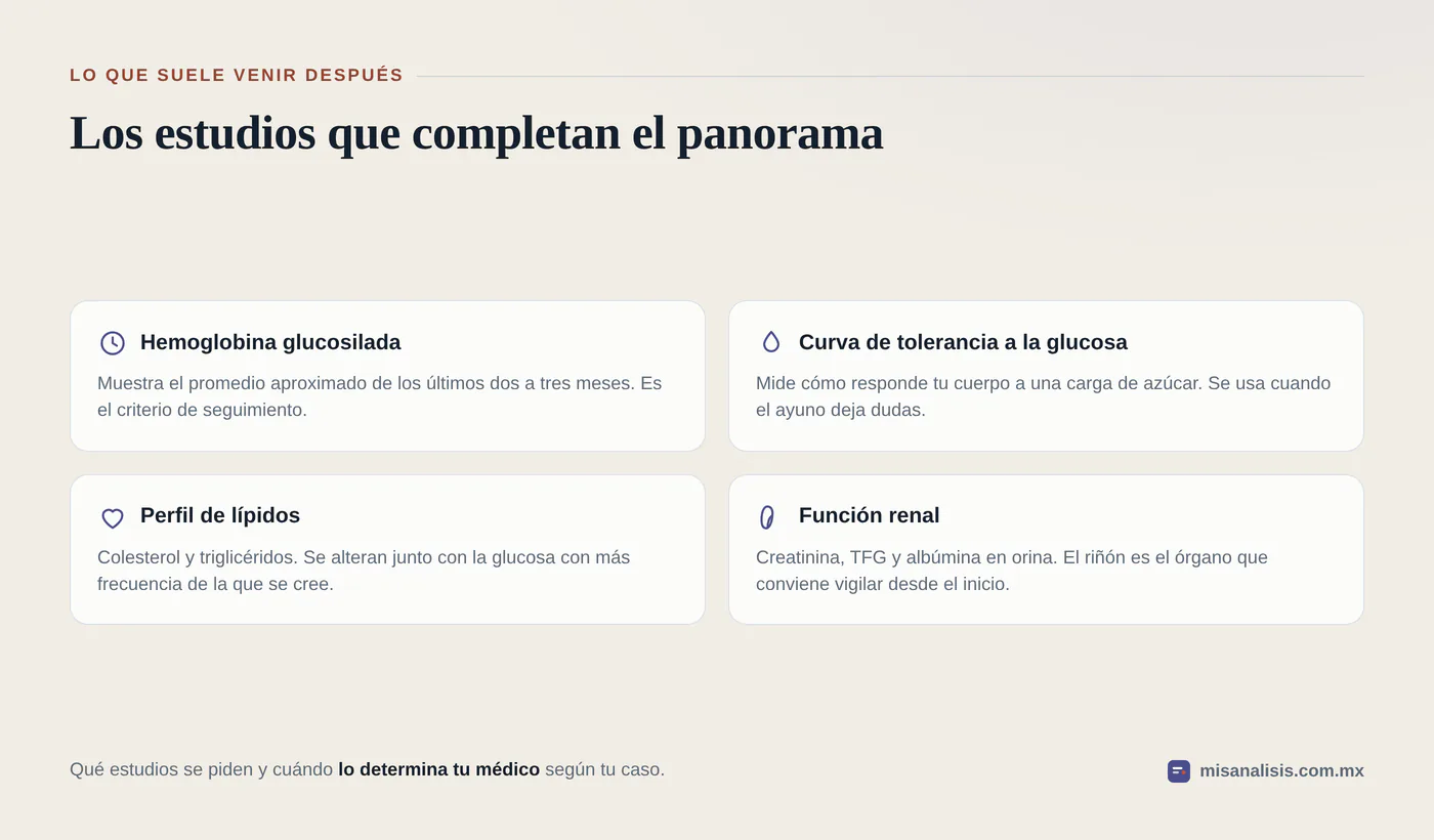 Cuatro estudios que suelen acompañar a una glucosa alta: hemoglobina glucosilada, curva de tolerancia a la glucosa, perfil de lípidos y función renal.
