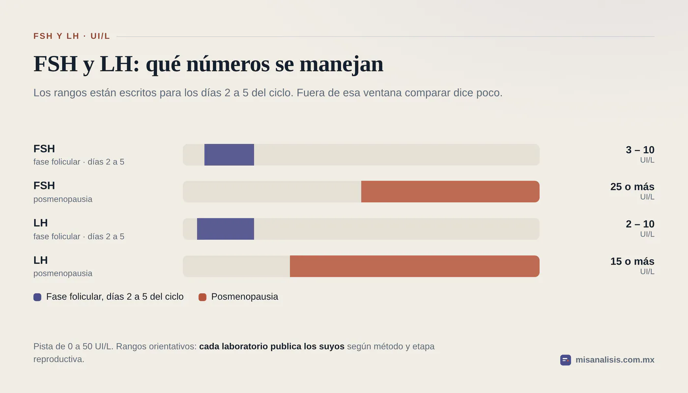 Cuatro rangos de referencia sobre una pista de 0 a 50 UI/L: FSH de 3 a 10 en fase folicular y 25 o más en posmenopausia; LH de 2 a 10 en fase folicular y 15 o más en posmenopausia.