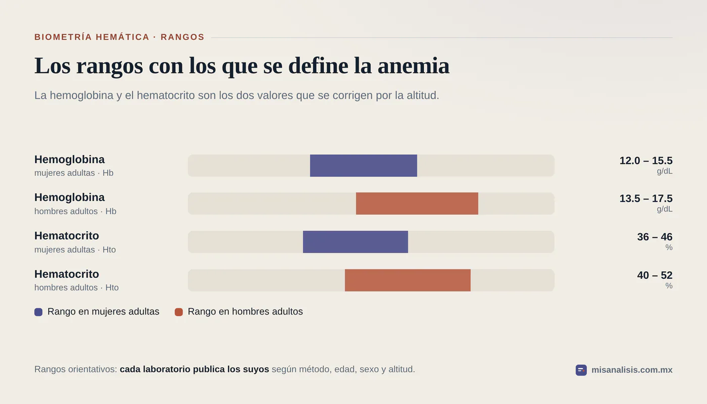 Cuatro rangos de referencia, cada uno en su pista: hemoglobina de 12.0 a 15.5 g/dL en mujeres y de 13.5 a 17.5 g/dL en hombres, hematocrito de 36 a 46 % en mujeres y de 40 a 52 % en hombres.
