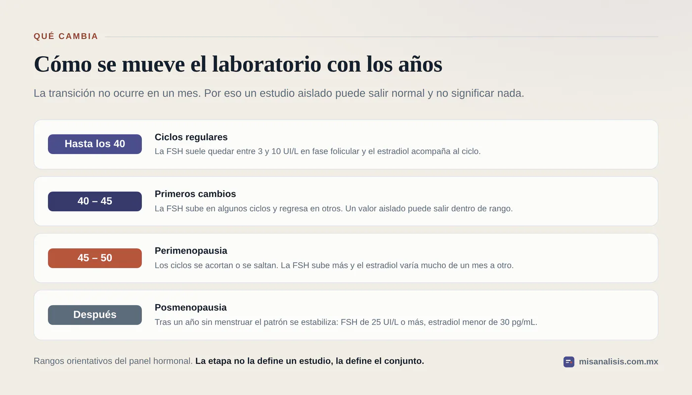 Cuatro etapas de la transición hormonal, de los ciclos regulares con FSH de 3 a 10 UI/L a la posmenopausia con FSH de 25 UI/L o más y estradiol por debajo de 30 pg/mL.