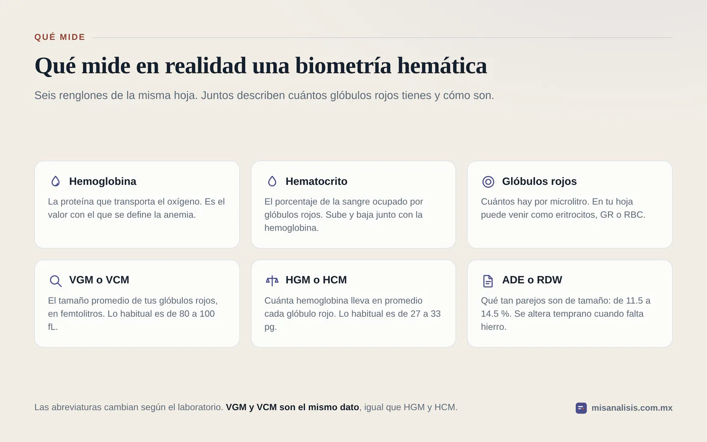 Rejilla con los seis datos de la biometría hemática que importan en una anemia: hemoglobina, hematocrito, glóbulos rojos, VGM o VCM, HGM o HCM y ADE o RDW.