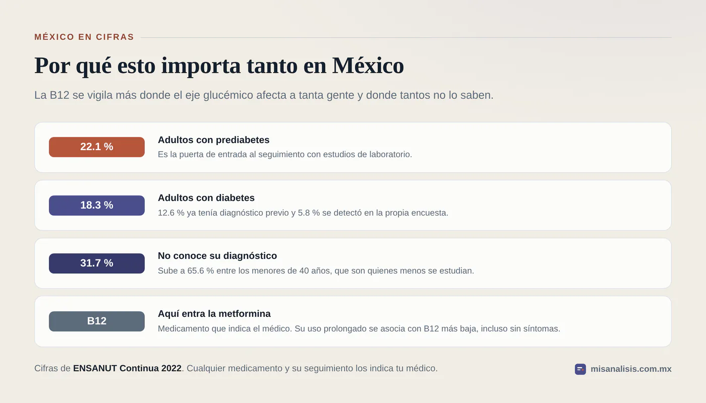 Cuatro datos apilados: 22.1 % de adultos con prediabetes, 18.3 % con diabetes, 31.7 % que no conoce su diagnóstico y la relación entre la metformina y una vitamina B12 más baja.