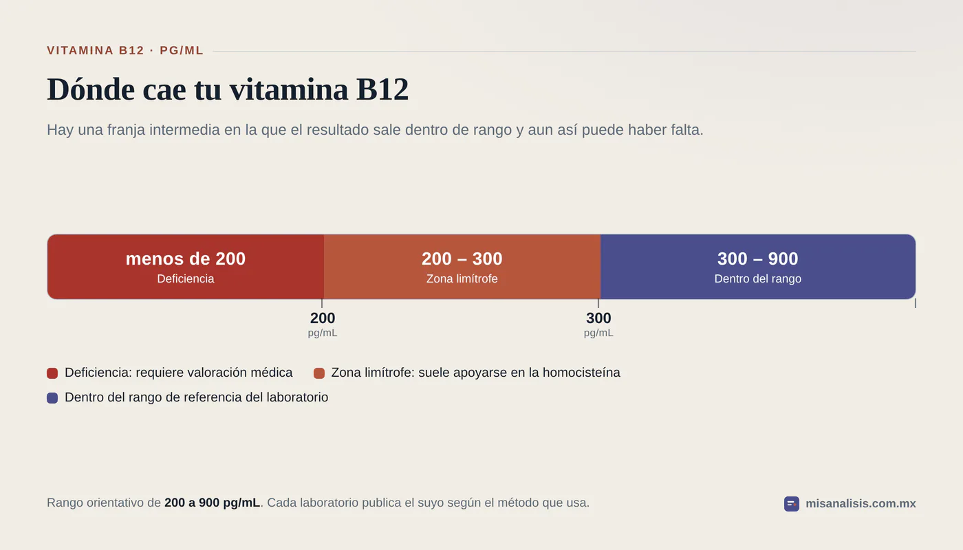 Escala de vitamina B12 en picogramos por mililitro con tres tramos: deficiencia por debajo de 200, zona limítrofe de 200 a 300 y valores dentro del rango de 300 a 900 pg/mL.